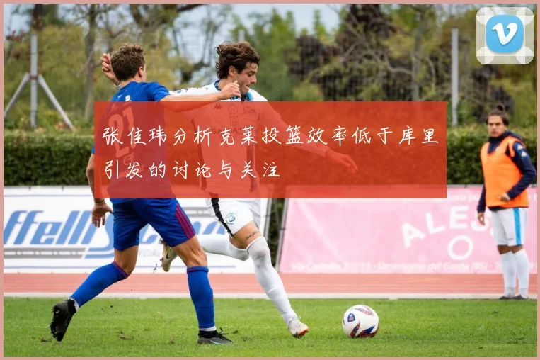 张佳玮分析克莱投篮效率低于库里引发的讨论与关注