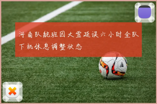 河南队航班因大雪延误六小时全队下机休息调整状态