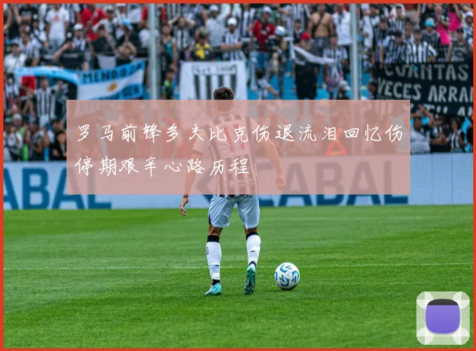 罗马前锋多夫比克伤退流泪回忆伤停期艰辛心路历程