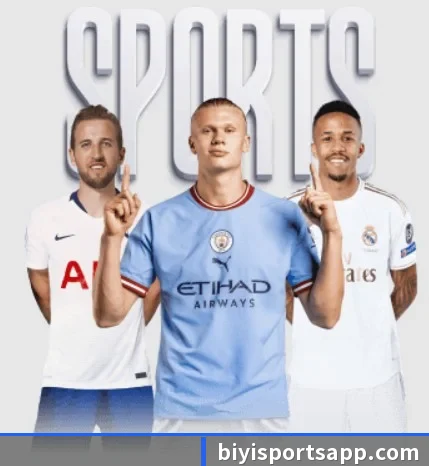 必一体育 APP（BSports）